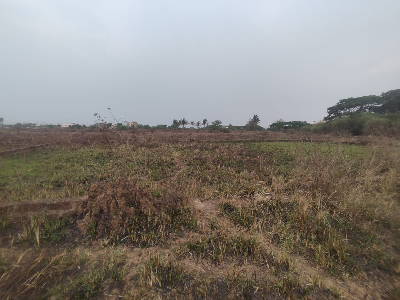 Plot near Rajdhani Engg College (2000 sq.ft)