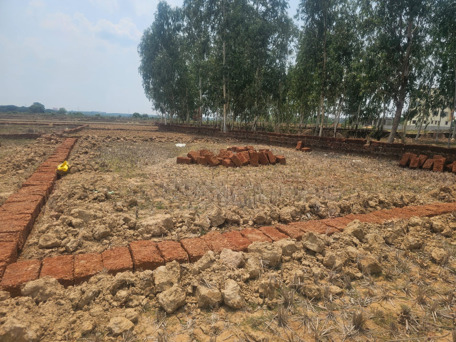Plot at Daruthenga, Patia